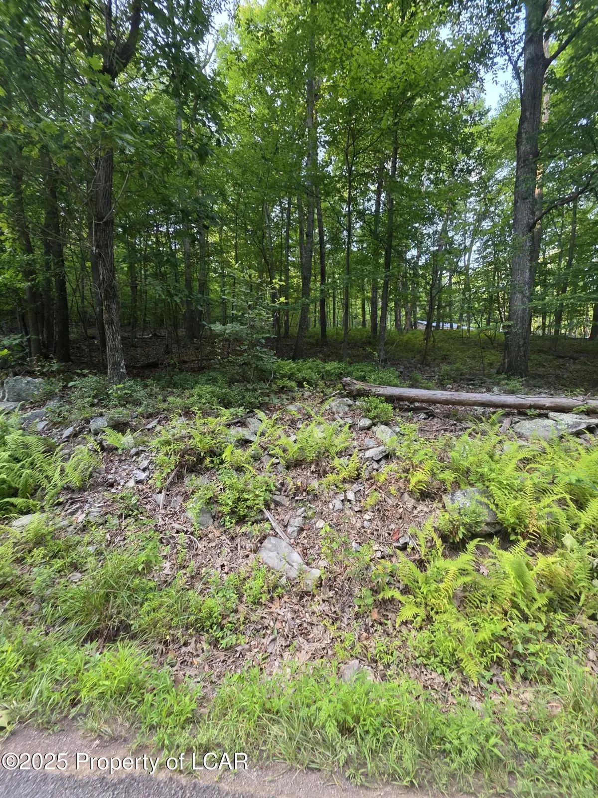 11H Tower Road, Sugarloaf in Sugarloaf