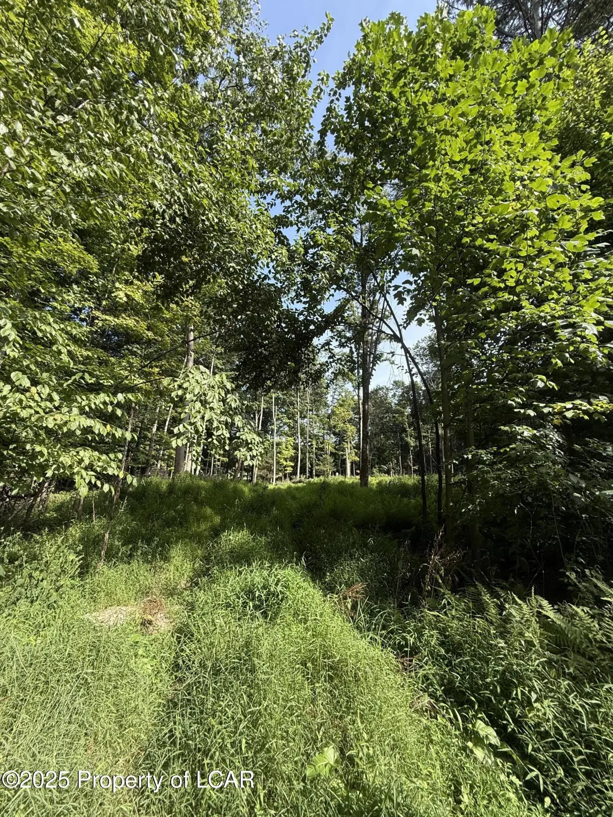 Ledge Drive Rear, Clarks Summit in Clarks Summit