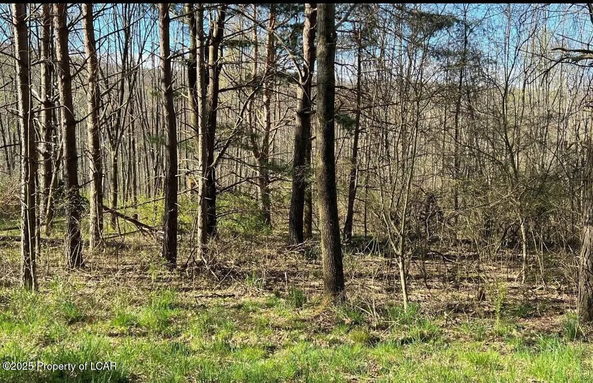 TV 202 Buttonbush & White Oak Lane, Hazle Township
