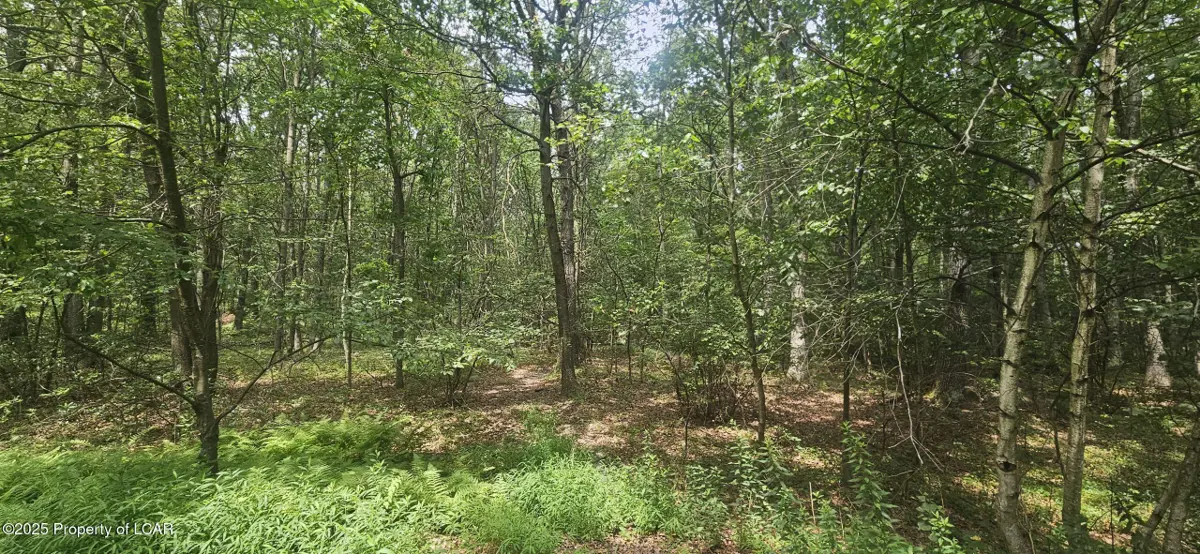 Lot 016 Hemlock Drive, Sheppton