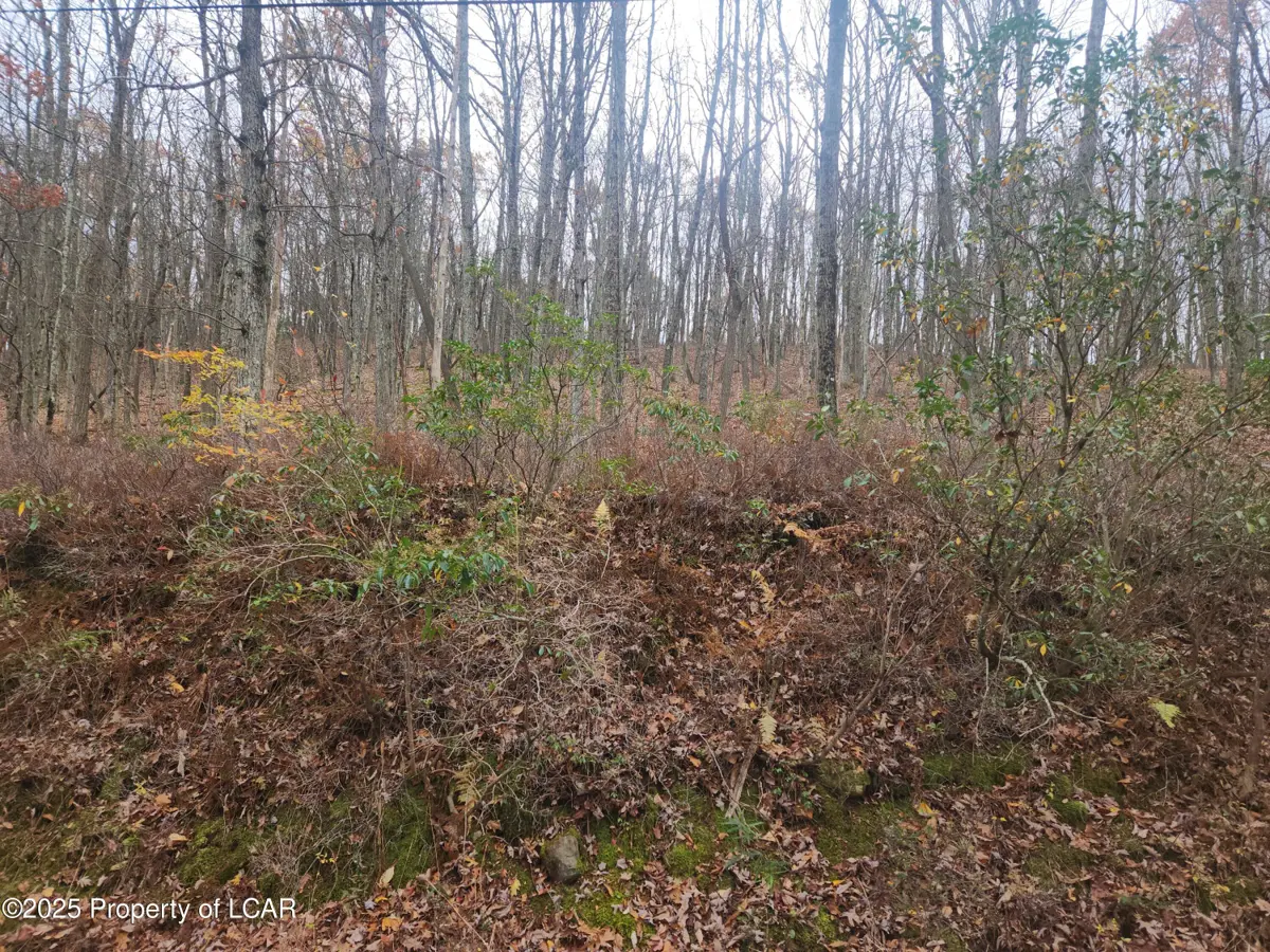 1210 Woodhaven Drive, White Haven