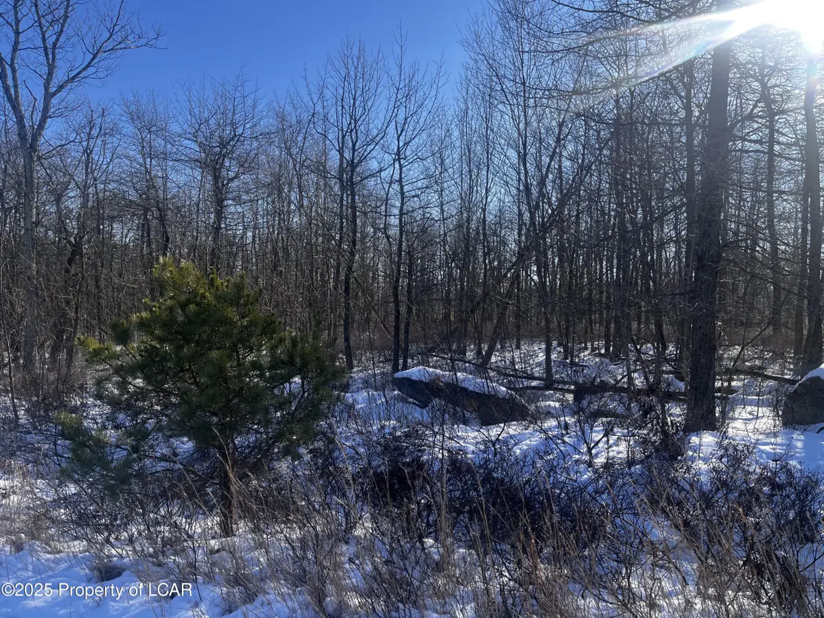 MVII-307 Brush Mountain Drive, Hazle Township