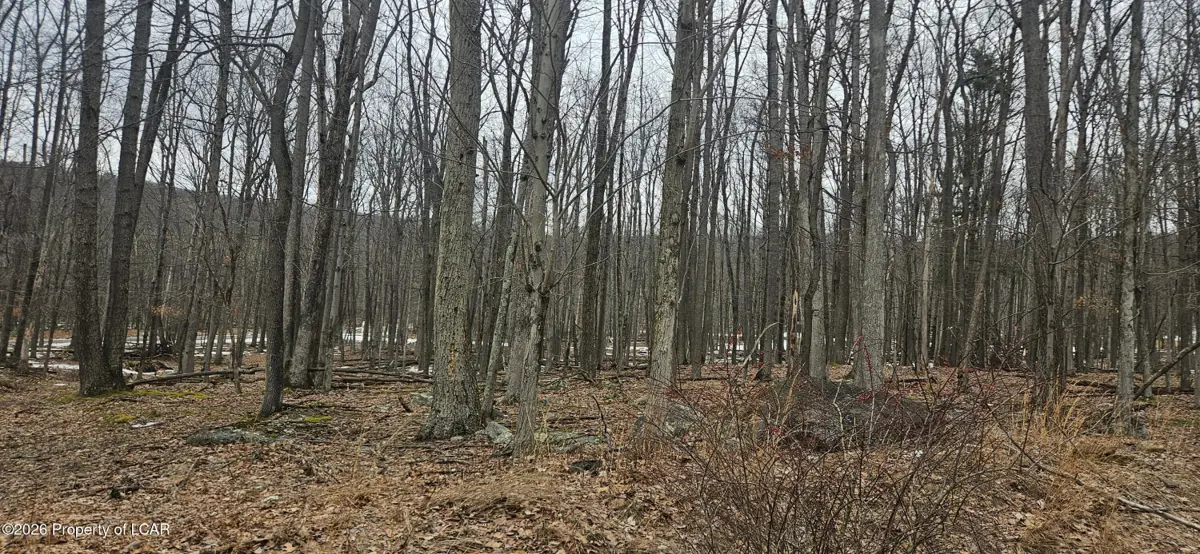 214 Chippewa Drive, Hazle Township