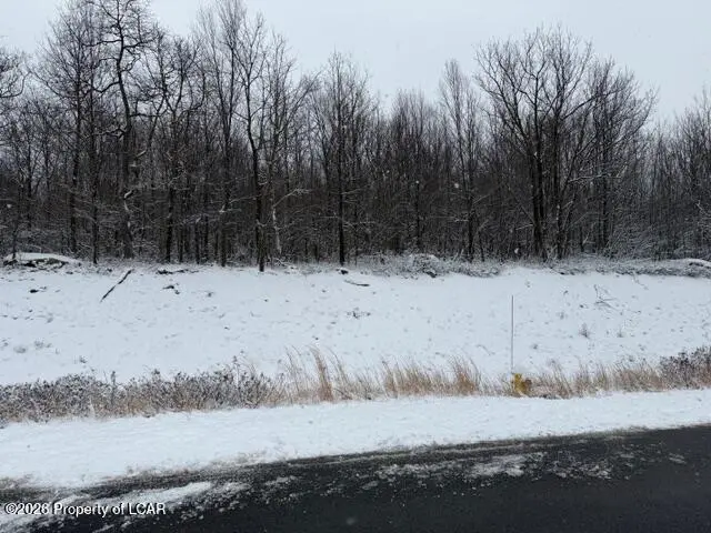 221 Buck Mountain Boulevard, Hazle Township