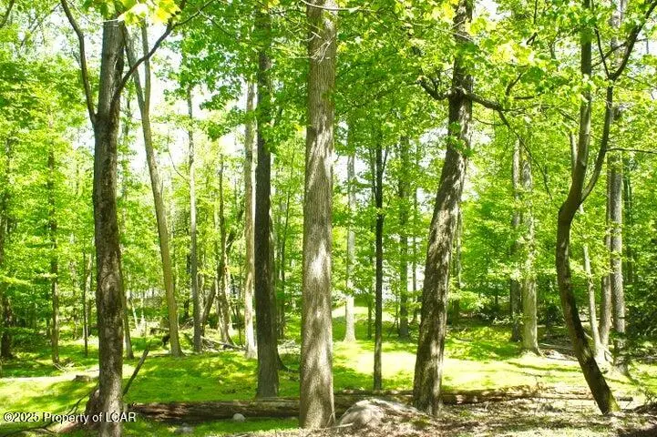 332 Shingle Mill Drive, Drums in Drums