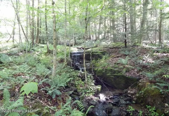 1 & 2 Sparrow Road, Harveys Lake