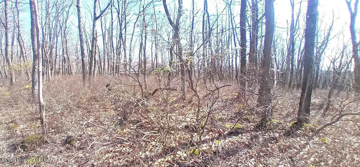 WS Lot 397 Horseshoe Drive, Hazleton
