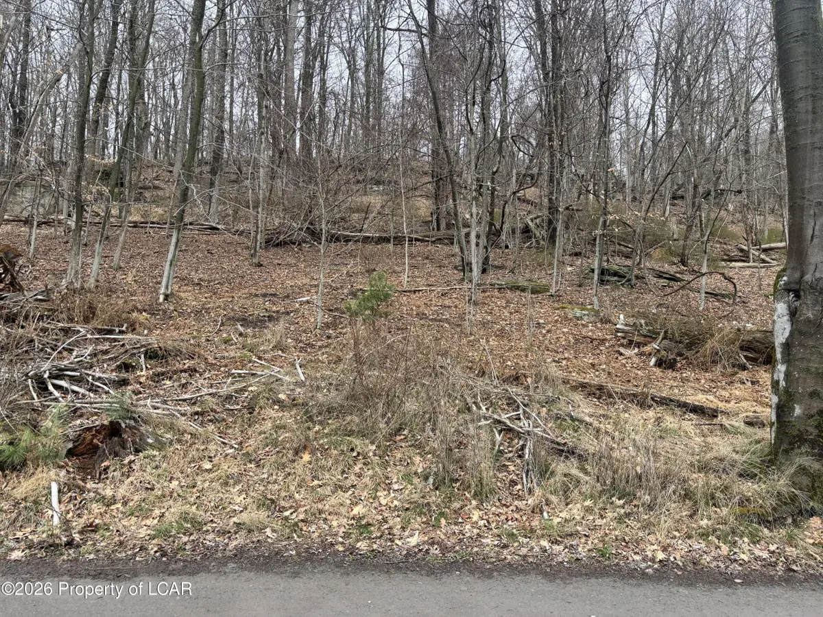 Kitchen Avenue, Harveys Lake