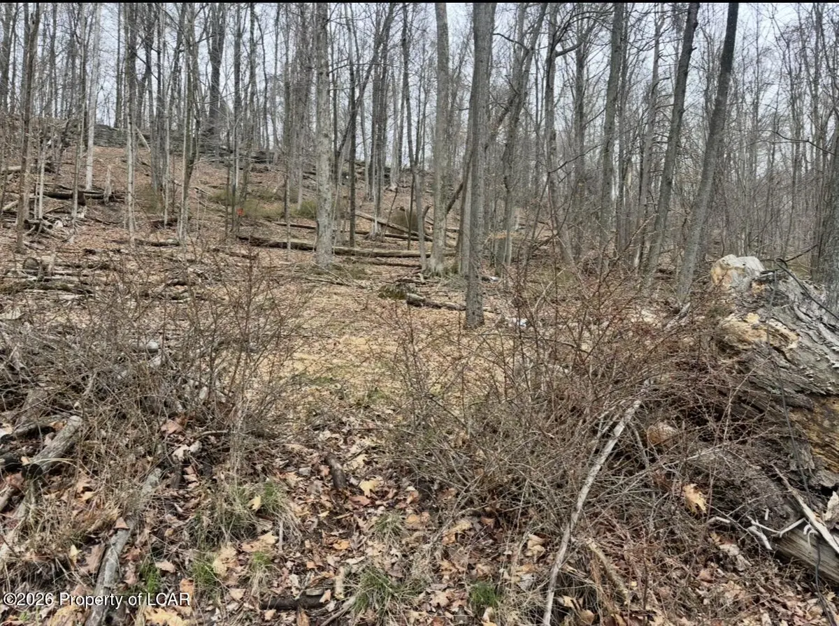 Kitchen Avenue, Harveys Lake