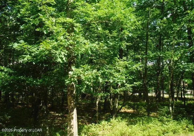 JAE Lot132 Kickapoo Drive, Hazle Township