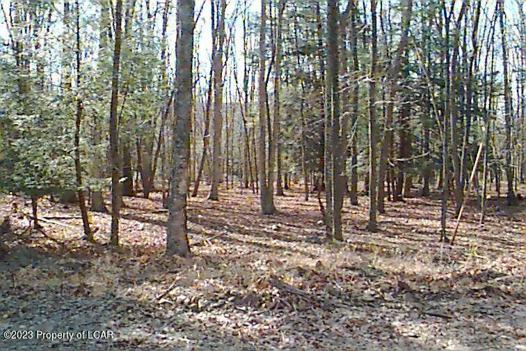 AW Lot 114 Arapahoe Lane, Hazleton