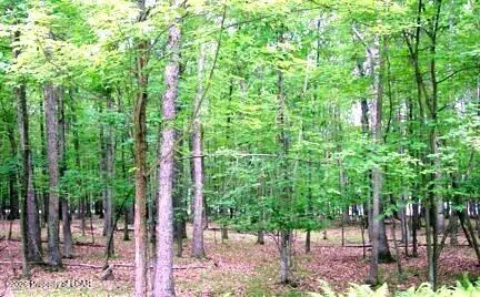 E Lot 099 Chestnut Drive, Hazleton