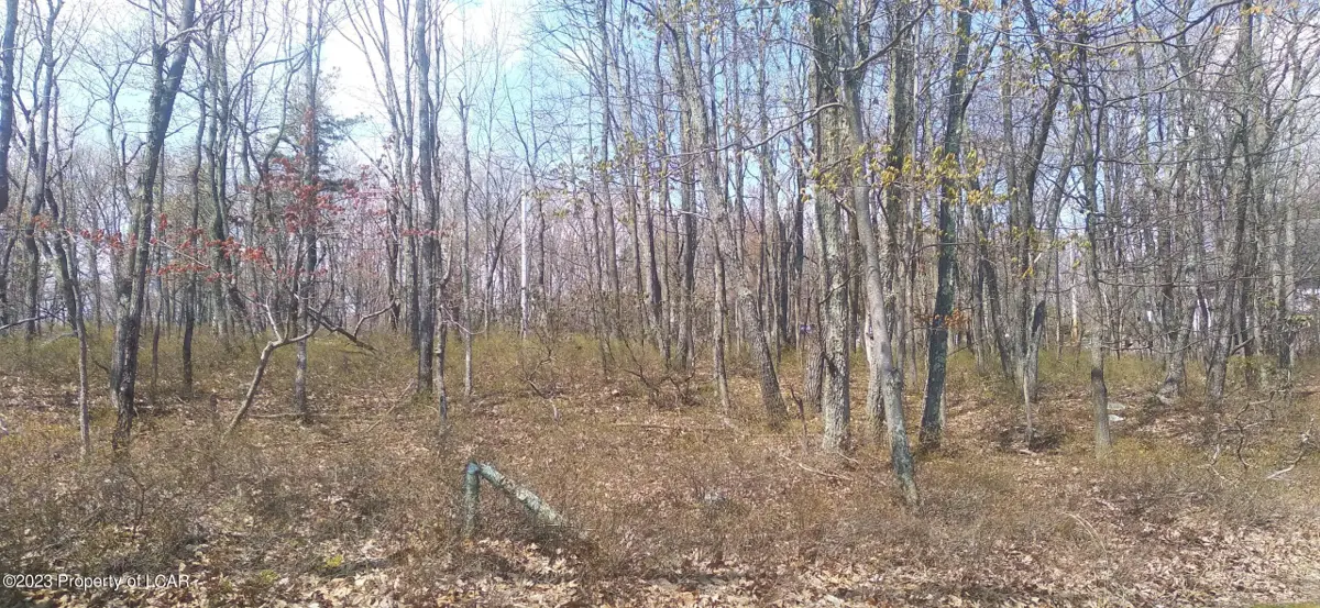 ERII 397 Crooked Stick Lane, Hazle Township