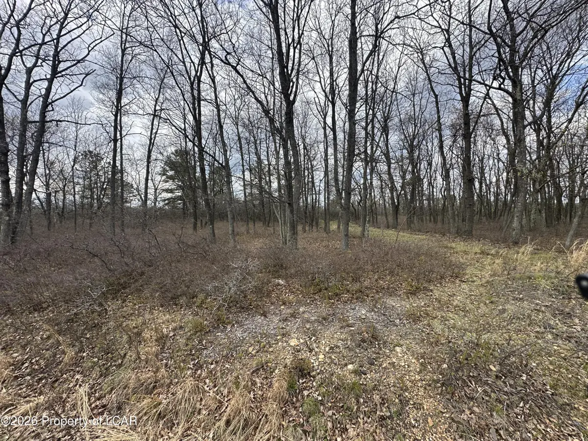 365 Honeysuckle Drive, Hazle Township