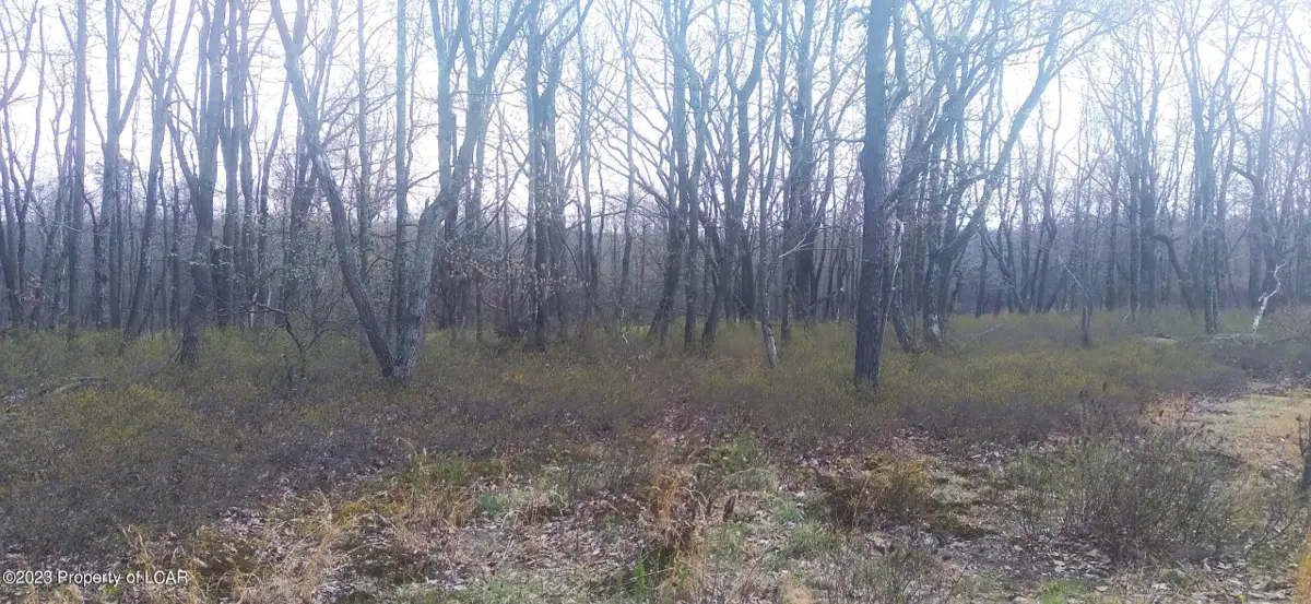 ERII 398 Crooked Stick Lane, Hazle Township