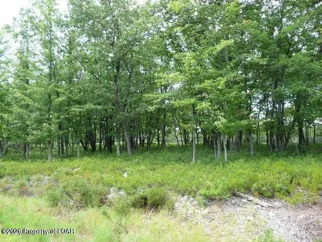 ERII 397-8 Crooked Stick Lane, Hazle Township