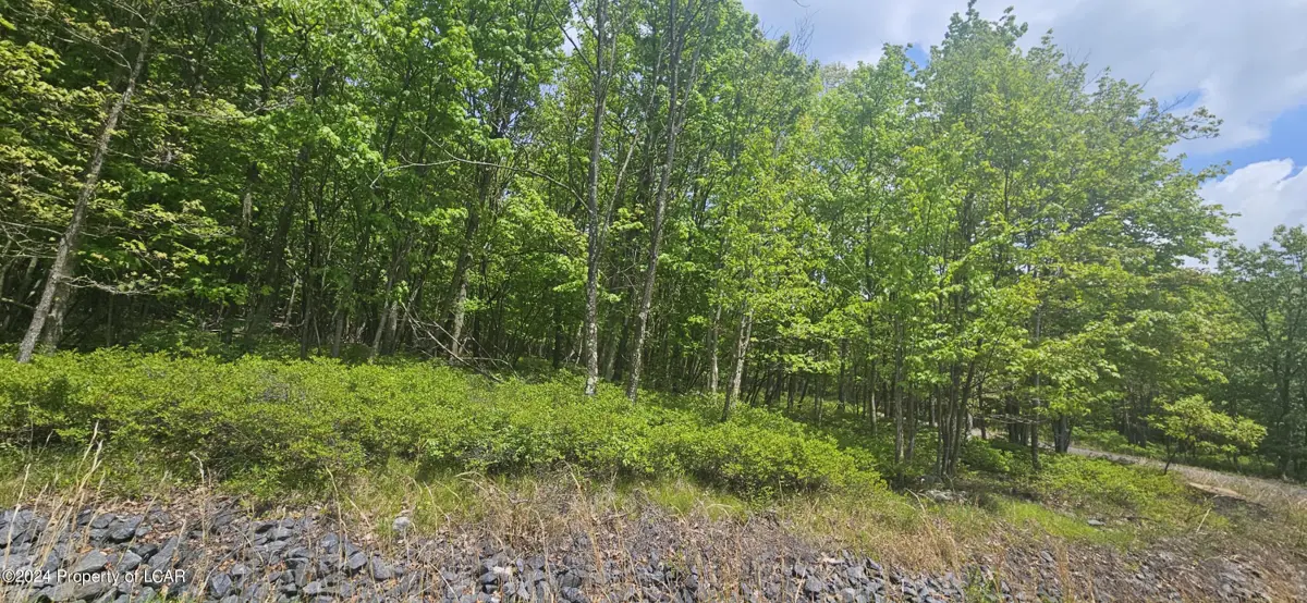 LV Lot 052 CRNR Mountain Laurel & Dogwood Drive, Hazle Township