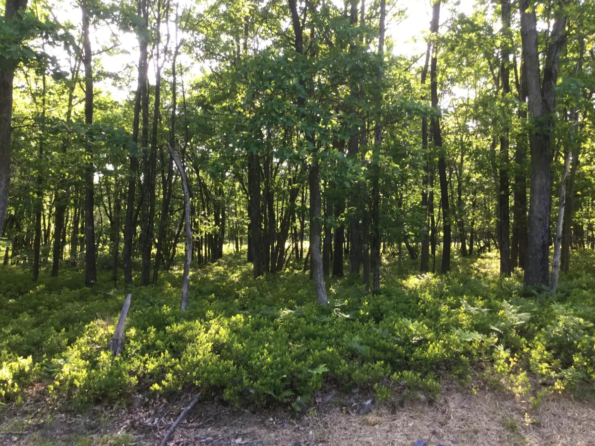 TW Lot 107 Sweet Birch Drive, Hazle Township