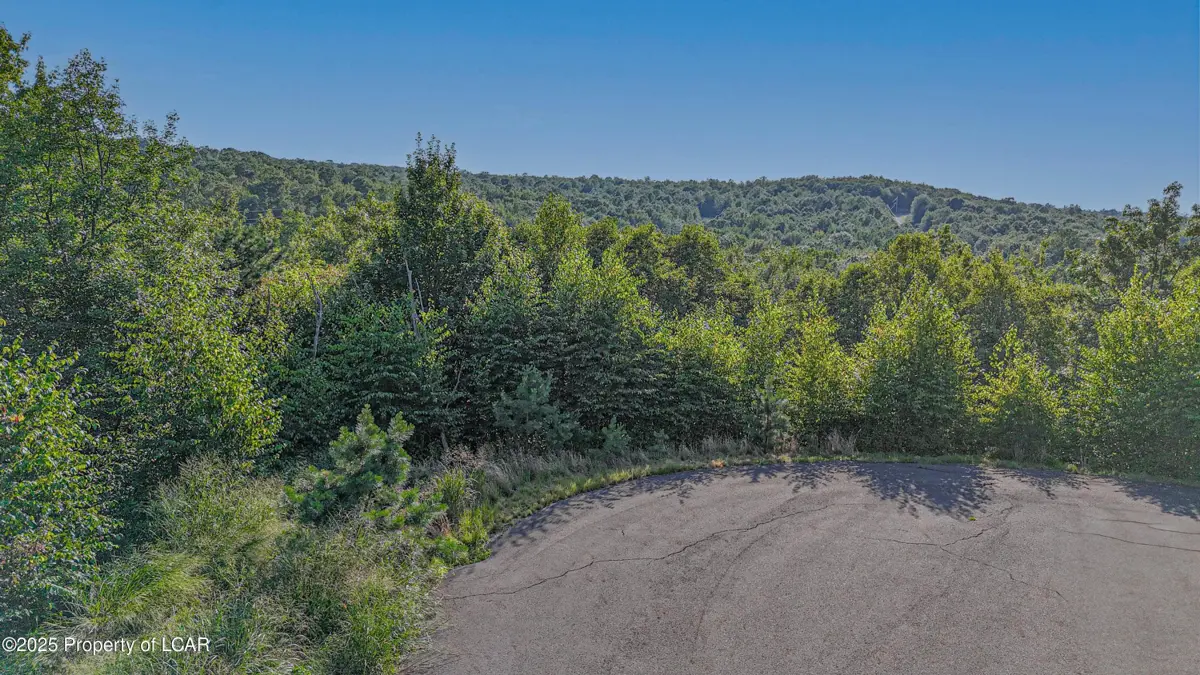 010MVII050 Big Mountain Lane, Hazle Township
