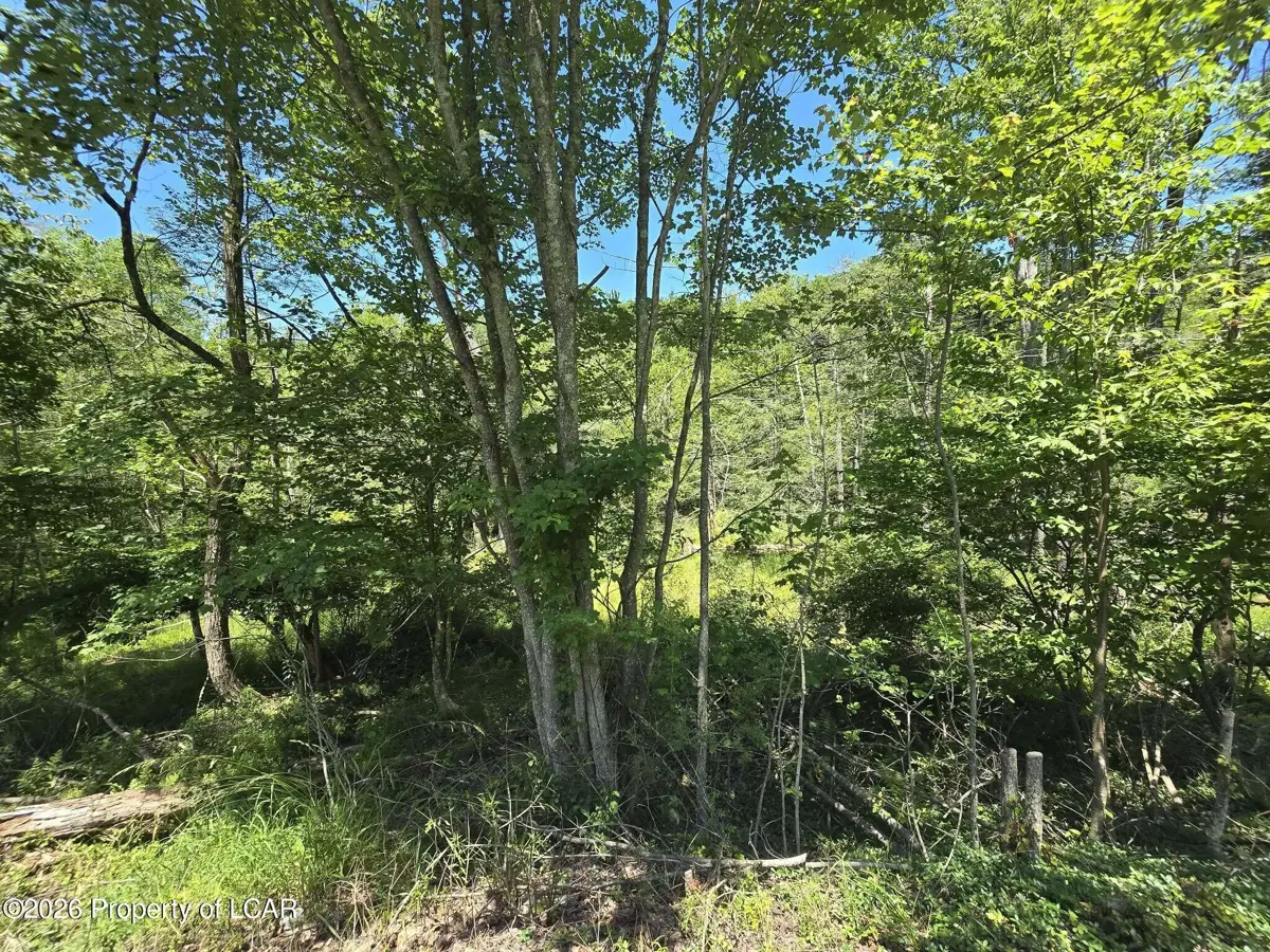 2nd Street, Harveys Lake