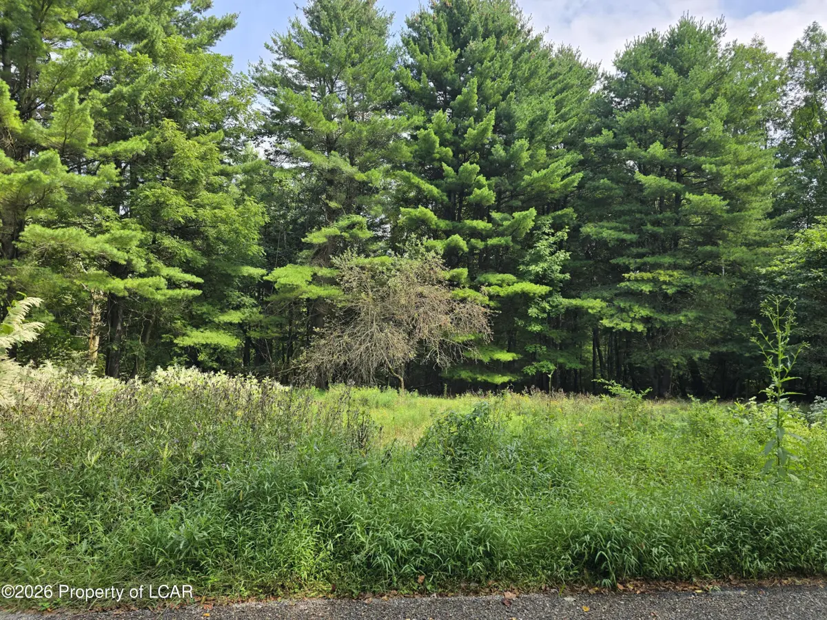 Callender Road, Hunlock Creek