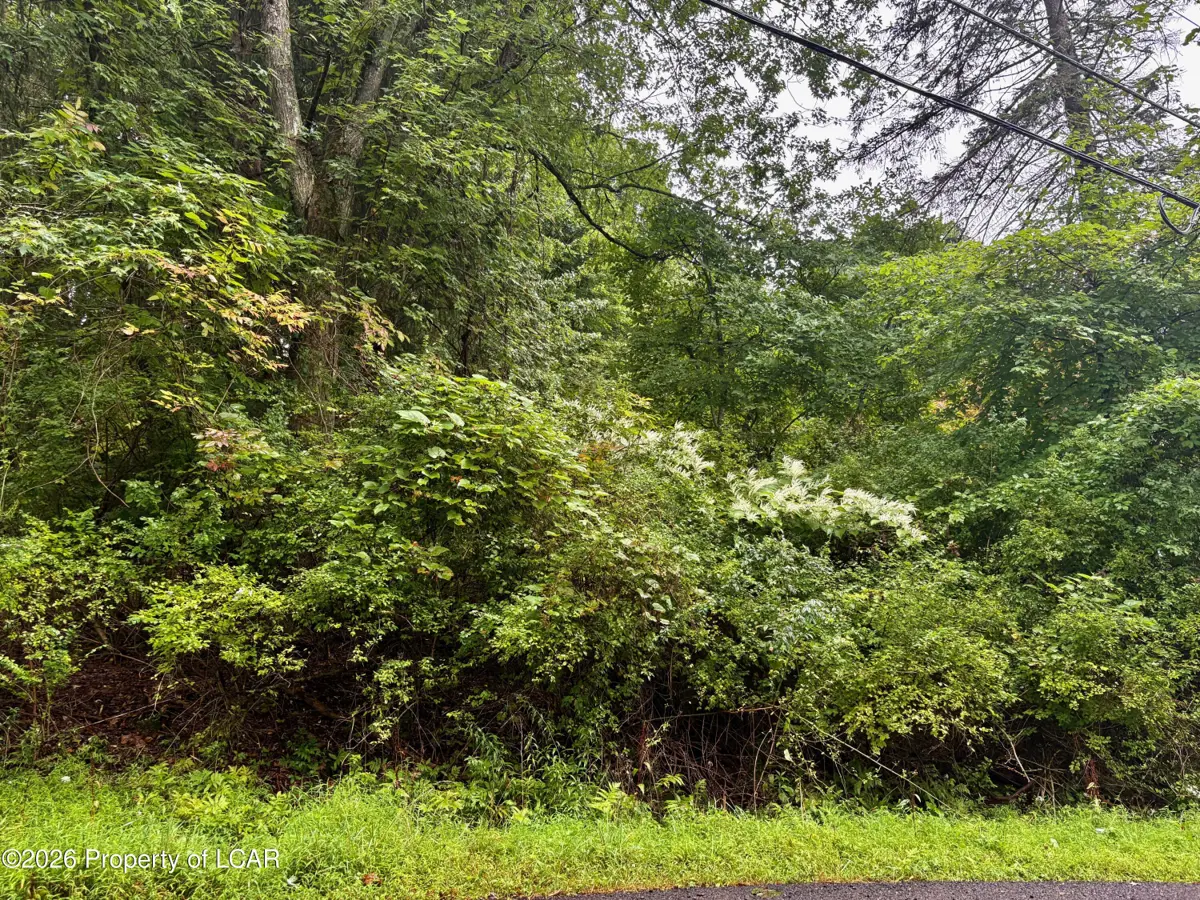 Lot 13 Woodlawn Avenue, Harveys Lake