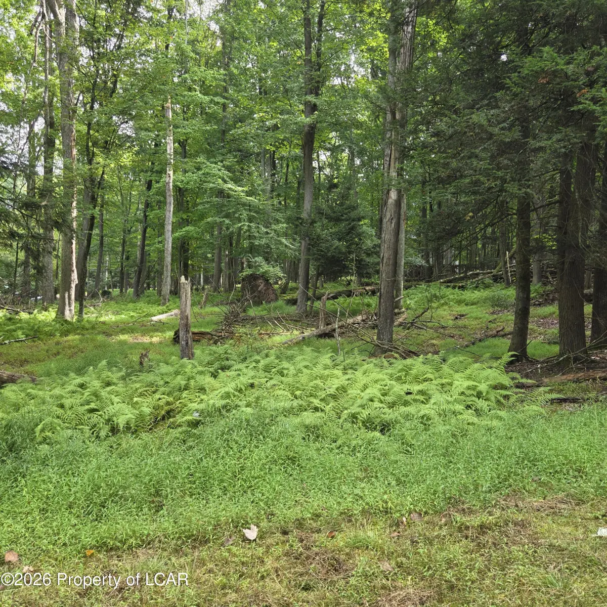 0 W Blackfoot Drive, North Union Township