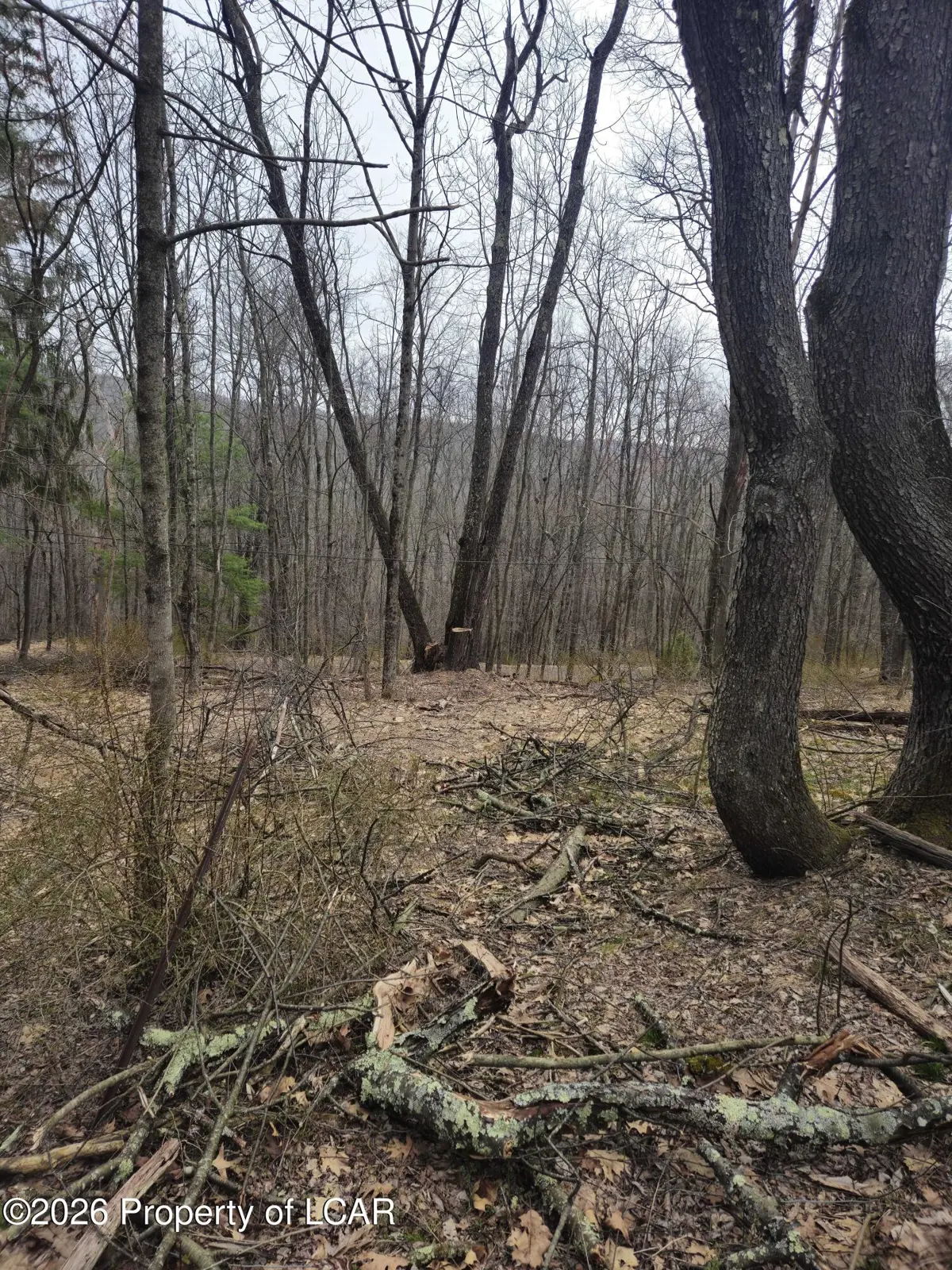 0 Kilmer Road, Spring Brook Township