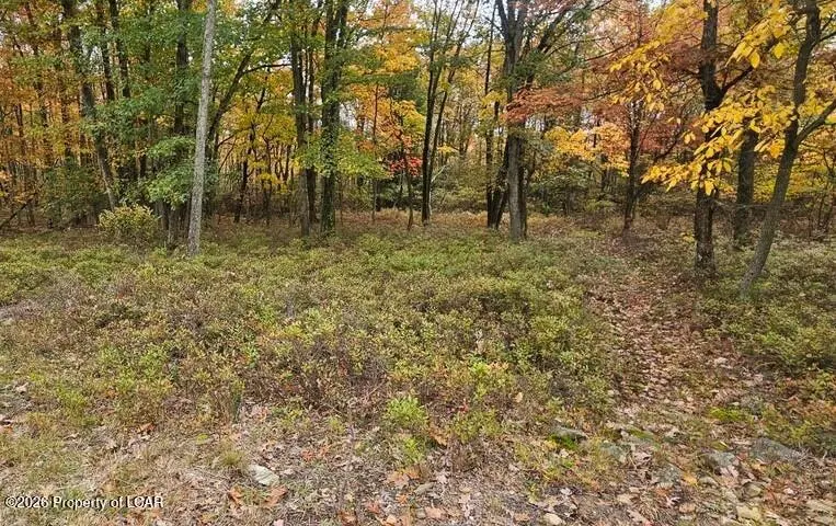 151 Mahanoy Mountain Road, Hazle Township