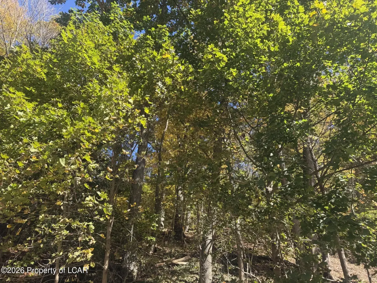 39 Goodwin Drive, Hunlock Creek in Hunlock Creek